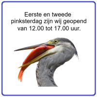 hemelvaartsdag - kopie7